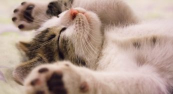 How to be disciplined enough to sleep early