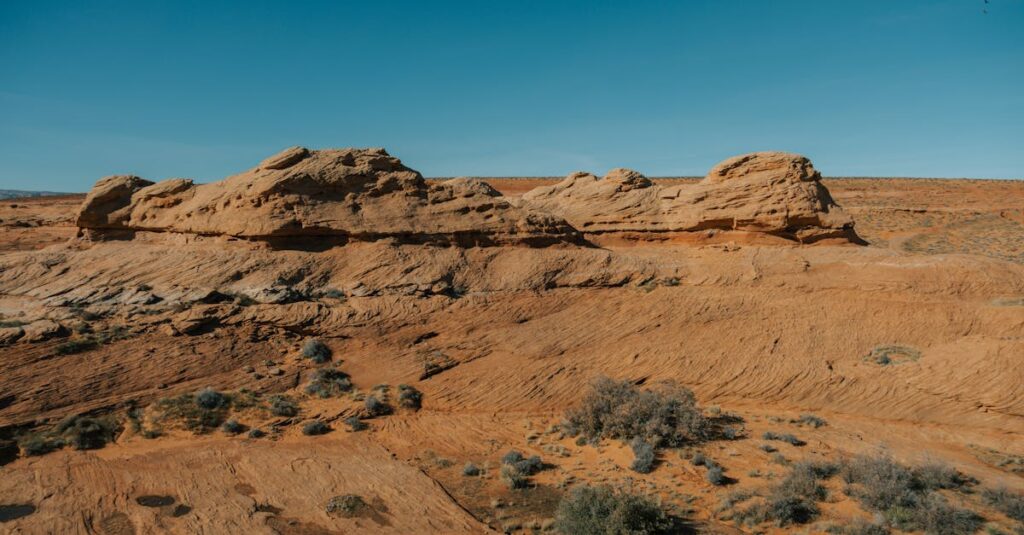 From Hesitation to Renovation – How One Rocky Mount Homeowner Discovered the Smartest Investment They Ever Made