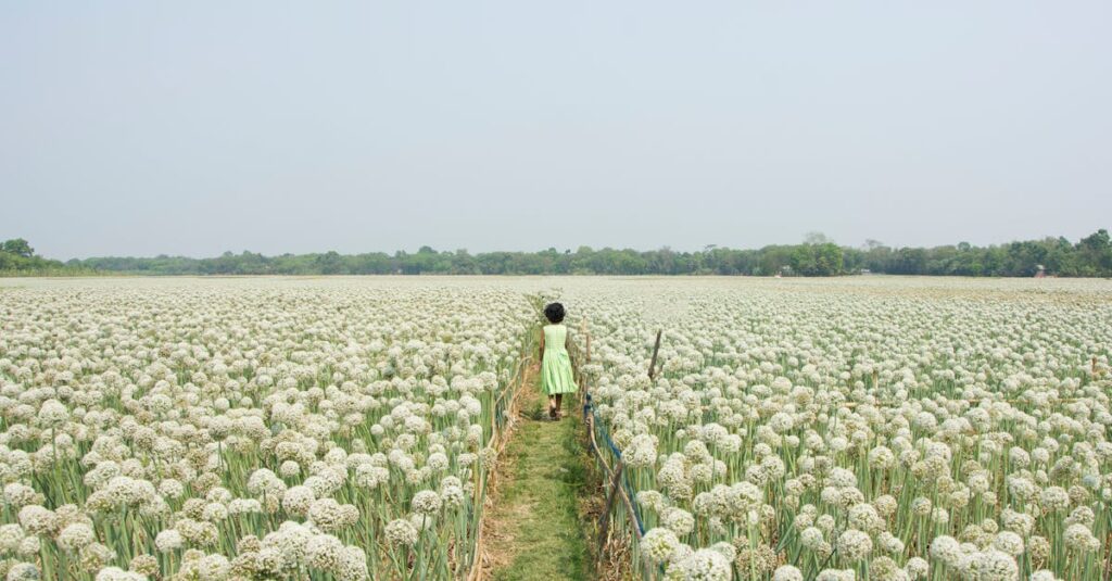 Why Winter Is the Most Strategic Season to Plan a Major Home Renovation