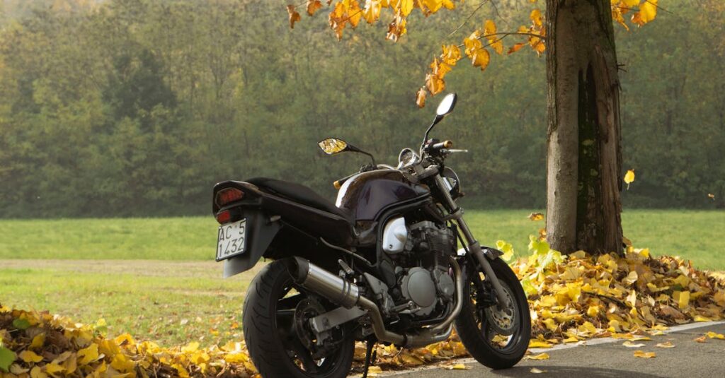 Why Winter Is the Most Strategic Season to Plan a Major Home Renovation